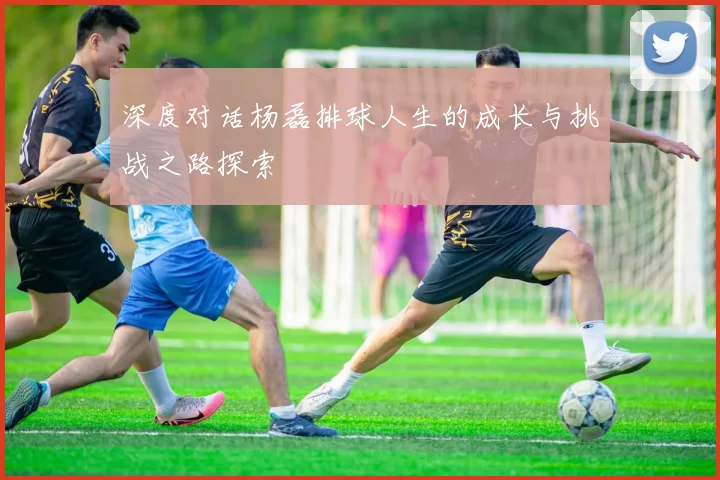 深度对话杨磊排球人生的成长与挑战之路探索