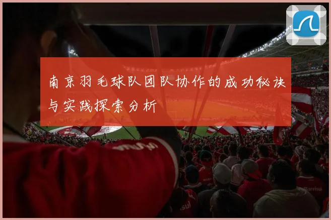 南京羽毛球队团队协作的成功秘诀与实践探索分析