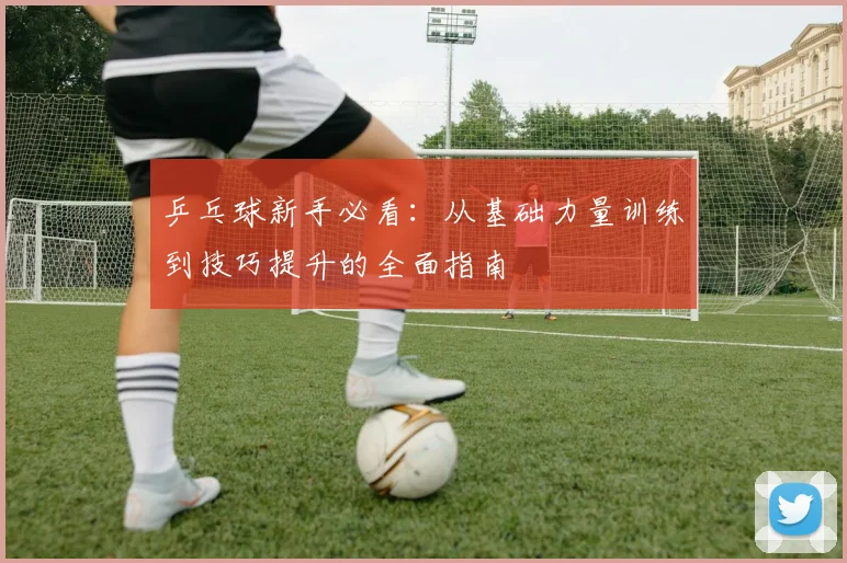 乒乓球新手必看：从基础力量训练到技巧提升的全面指南